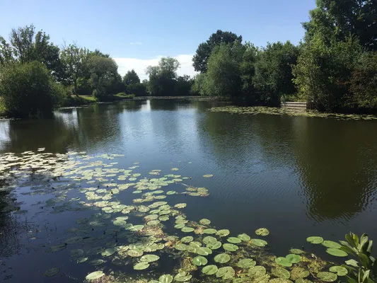 Blick über den Alten Altarm