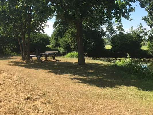 Sitzplatz am Ufer des Alten Altarms