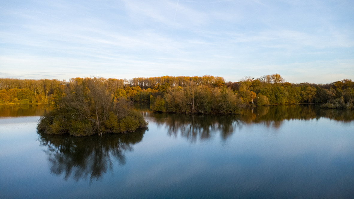 Herbstliche Insel und Baumspiegelungen im Erlensee