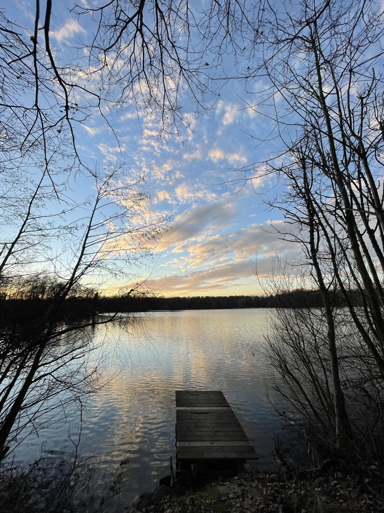 Kleiner Holzsteg am Erlensee in der Abendstimmung
