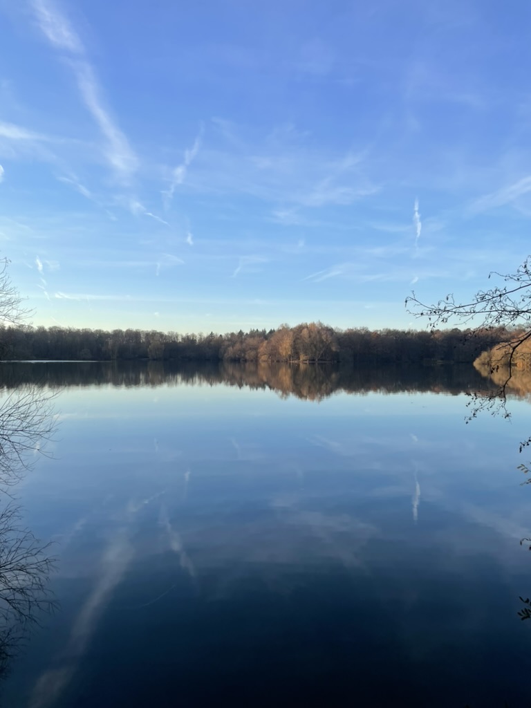 Spiegelglatter Erlensee an einem klaren Wintertag