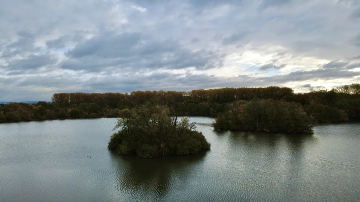 Der Erlensee unter Abendwolken