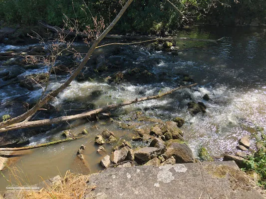 Rauschende Stromschnellen der Kinzig
